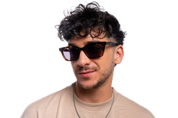 [S-DSS2529-C4] Calabna Sol ( Carey)