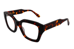 [DSF3349 -C2] Campania ( Carey)