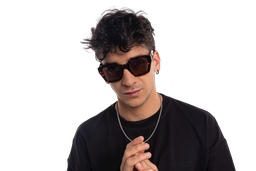 [S-DSF3349 -C2] Campania Sol ( Carey)