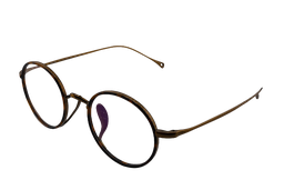 [KMN7307 BR/TO] JIN ( Carey)