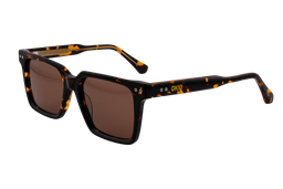 [DSF5019-C2S] Friedrich Sol ( Carey)