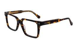 [DSF5019-C2] Friedrich  ( Carey)