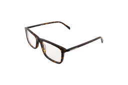 [2552-C2] Bronzetti ( Carey)