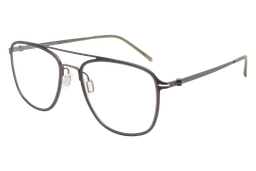 [TTR9019-C6] Silvio Pellico ( Gris)