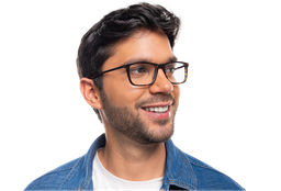 [2552-C2] Bronzetti ( Carey)