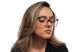 [DSF4697-C4] Canal ( Carey)