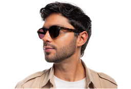 [DSF3606S-C3] Sullivan ( Carey)