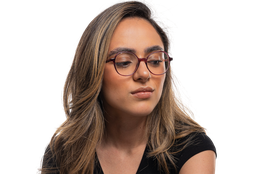 [WD0038-C2] Pantheon (Morado)