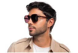 [DSF3608S-C4] Park SOL ( Carey)