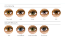 FreshLook Colorblends (Mensuales)