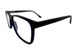 [BIO 3005 003] Roble ( Azul)