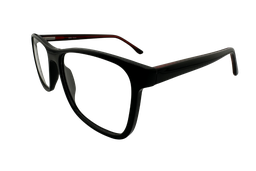 [BIO 3005 001] Roble ( Negro)