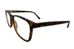 [BIO 3005 004] Roble ( Carey)