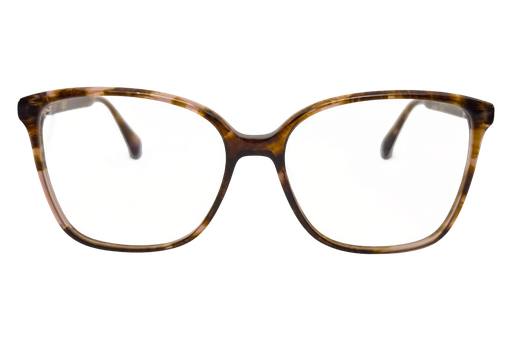 [DSF4697-C4] Canal ( Carey)