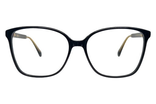 [DSF4697-C1] Canal ( Negro)