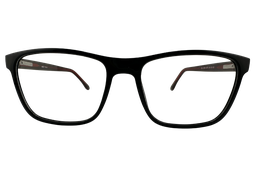 [BIO 3005 001] Roble ( Negro)